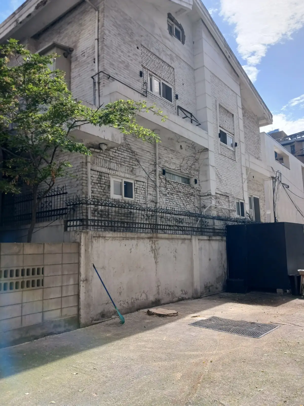 마포구 상가주차장 은행나무벌목 작업 후 정리된 모습